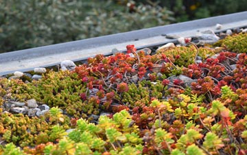 the cost of Ashcombe Park green roof installation