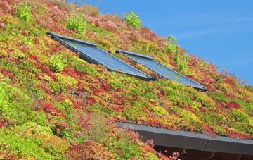 Ashcombe Park living roof systems